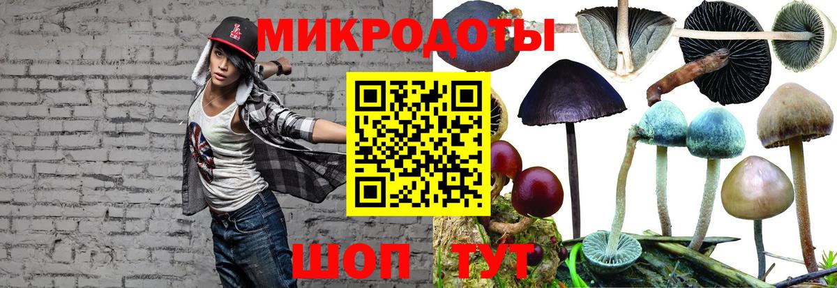 Псилоцибиновые грибы ЛСД  что такое наркотик  Дагестанские Огни  Вход с VPN 