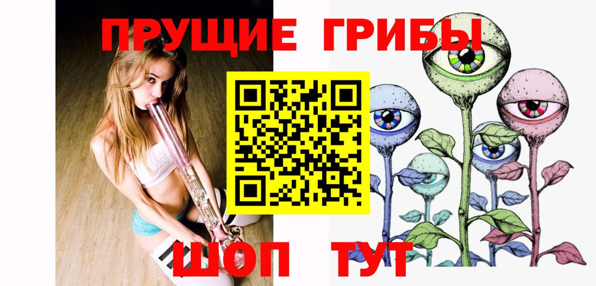 Псилоцибиновые грибы Cubensis Дагестанские Огни